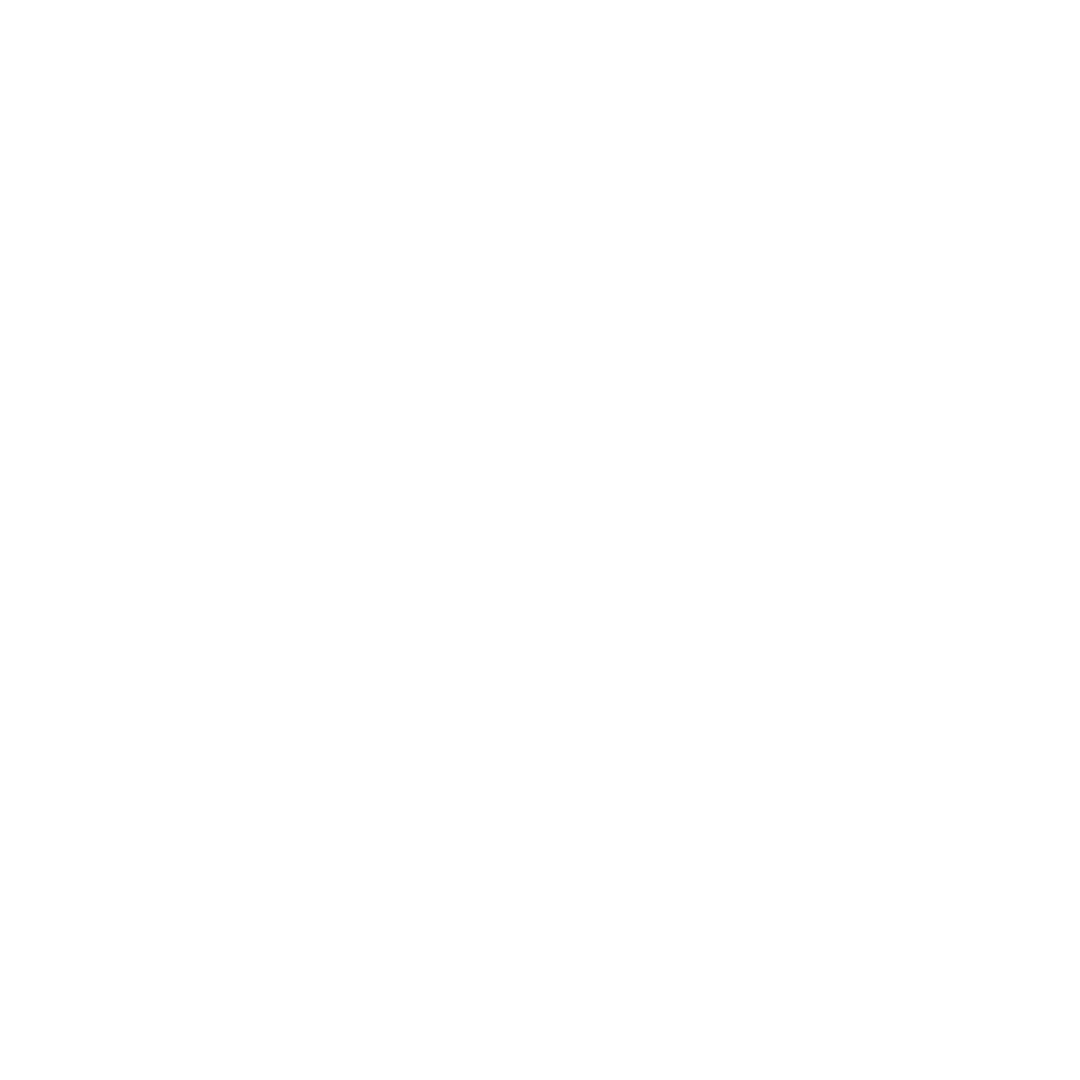Métis Academia da Mente